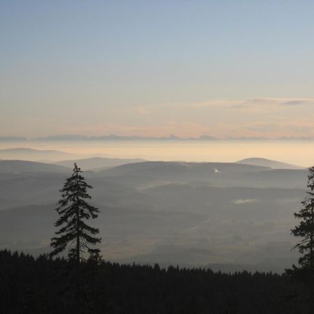 Gasthof Pension Strohmaier Haidmühle Екстериор снимка