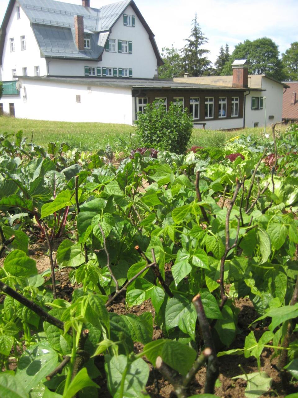 Gasthof Pension Strohmaier Haidmühle Екстериор снимка