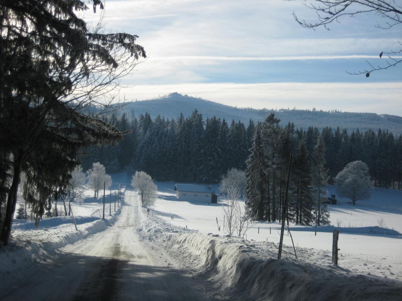 Gasthof Pension Strohmaier Haidmühle Екстериор снимка